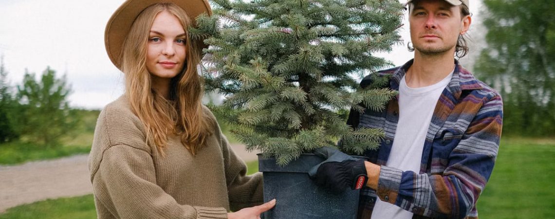 Young couple having work on farm together while carrying pot of fir tree grown in field